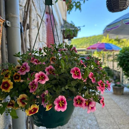 Maison D'Hotes Argentat Dış mekan fotoğraf