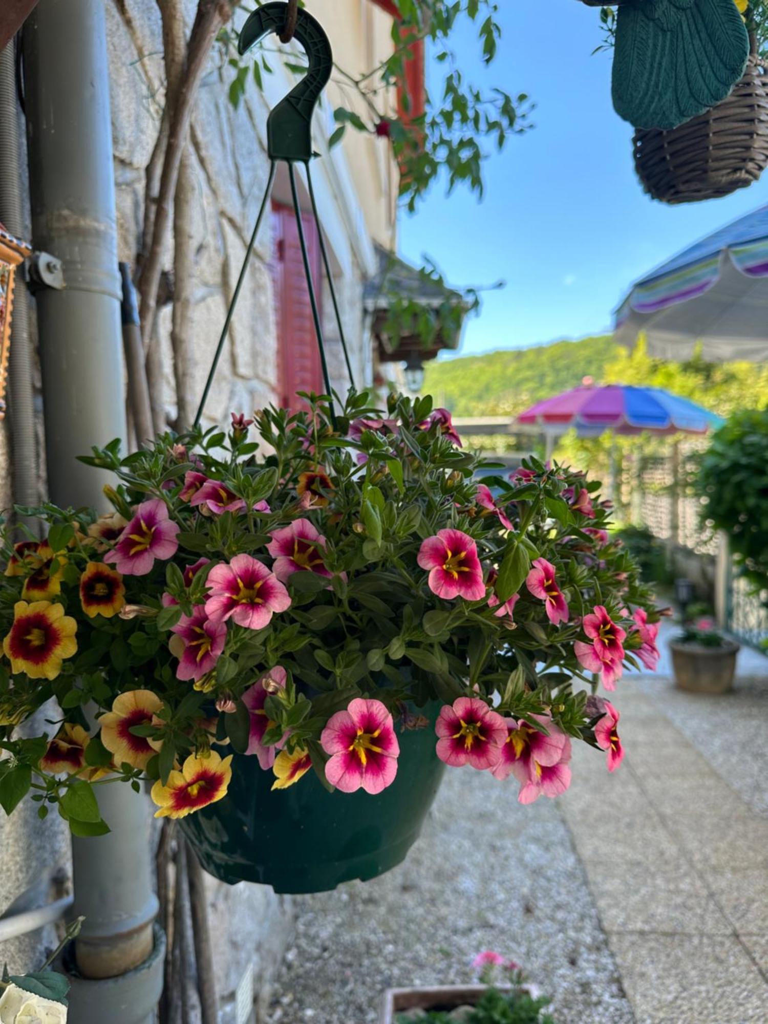 Maison D'Hotes Argentat Dış mekan fotoğraf